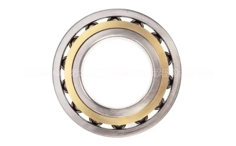 bob半岛·体育入口