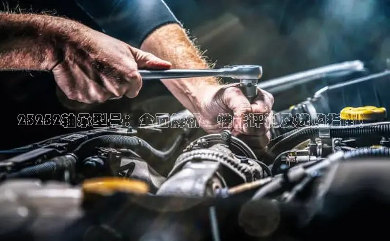 半岛官网入口网页版