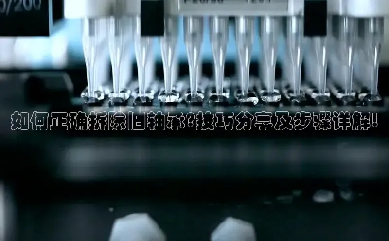 BOB半岛官方网站入口