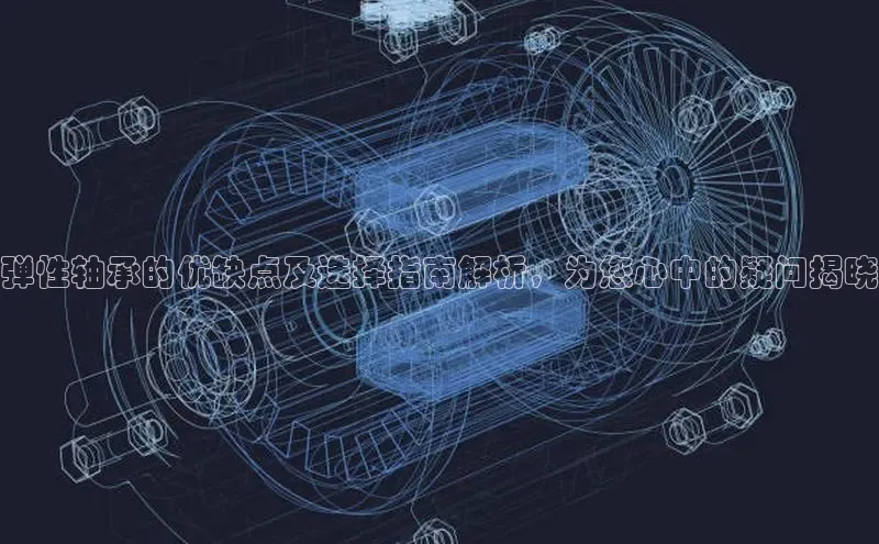 半岛·bob官方网站体育